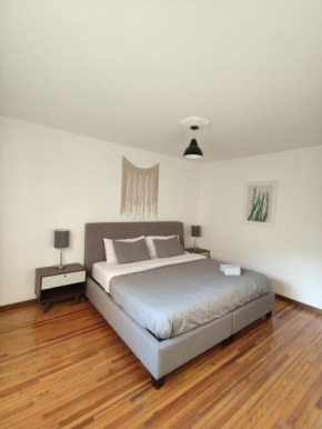 1BR Beautiful Apartment in Condesa